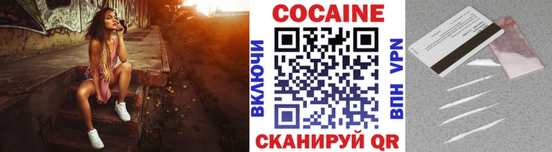 Купить Балахна Кокаин Fish Scale